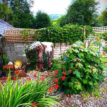 Bed and Breakfast Heddfan Llanboidy Exteriér fotografie