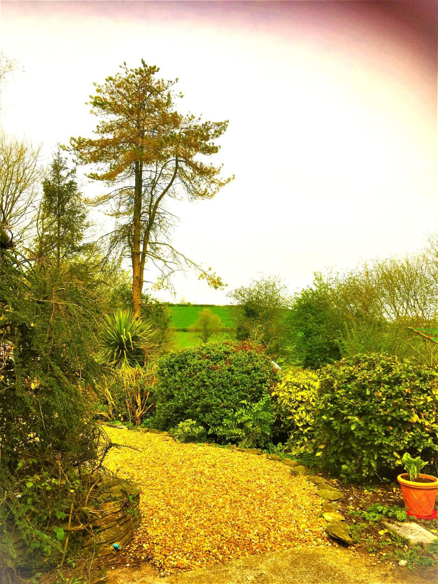 Bed and Breakfast Heddfan Llanboidy Exteriér fotografie